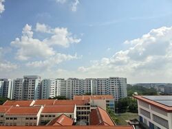 Blk 243 Pasir Ris Street 21 (Pasir Ris), HDB Executive #564504951